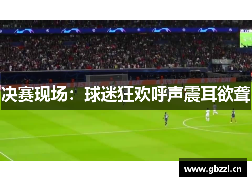 决赛现场：球迷狂欢呼声震耳欲聋