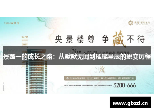 景菡一的成长之路：从默默无闻到璀璨星辰的蜕变历程