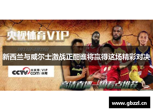 新西兰与威尔士激战正酣谁将赢得这场精彩对决