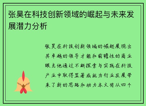 张昊在科技创新领域的崛起与未来发展潜力分析
